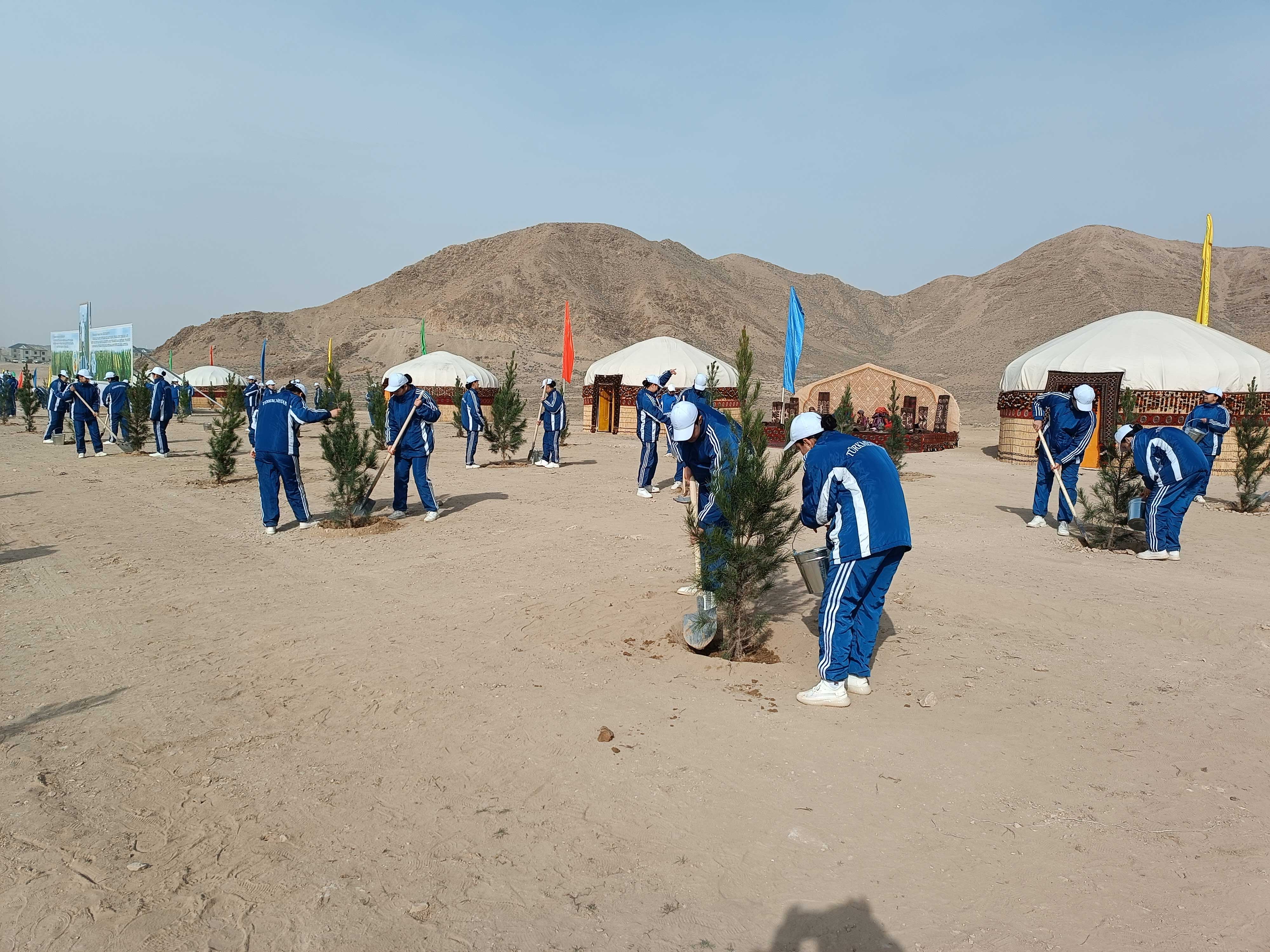 A nationwide tree planting campaing 